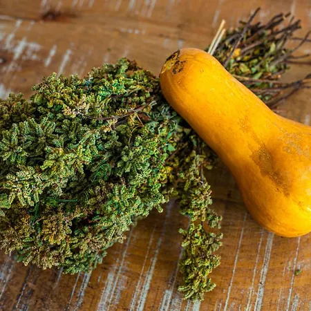 Apartmán Aegean Dream *