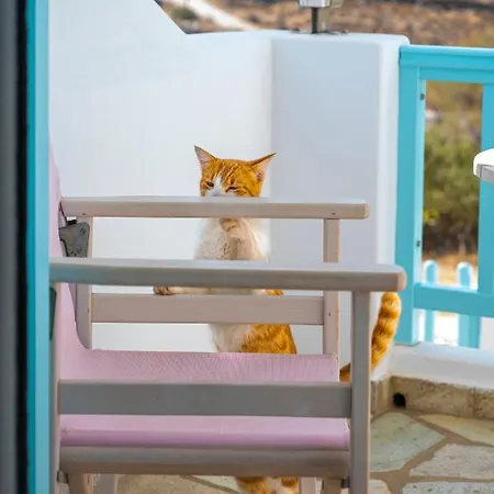 Aegean Dream Apartmán Tínos