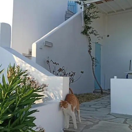 Aegean Dream * Tínos