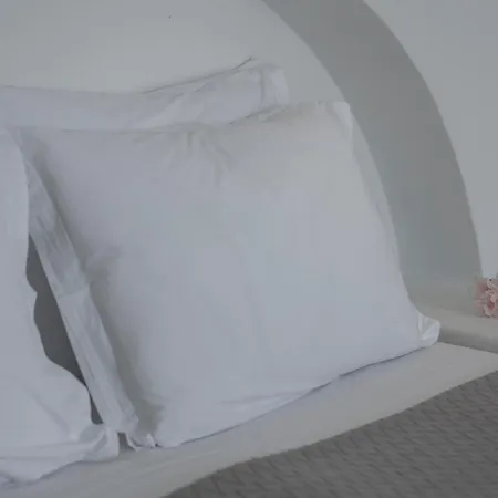 Aegean Dream * Tínos