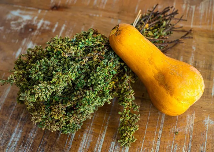 Appartamento Aegean Dream *