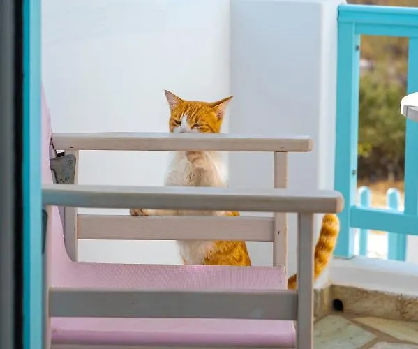 Aegean Dream Appartamento Tínos